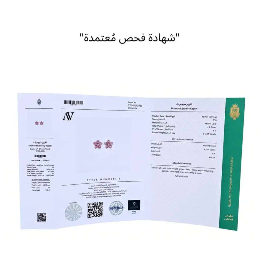 حلق رقم 2