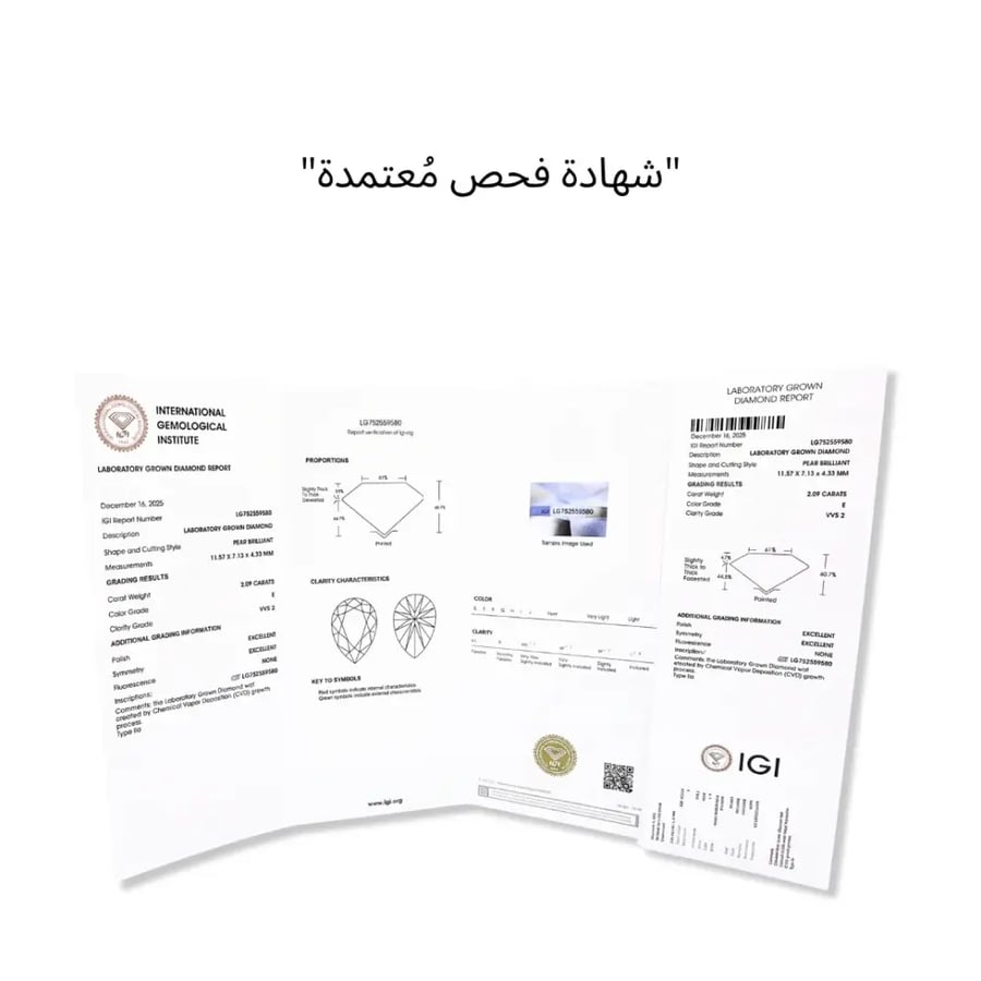 عقد رقم 8
