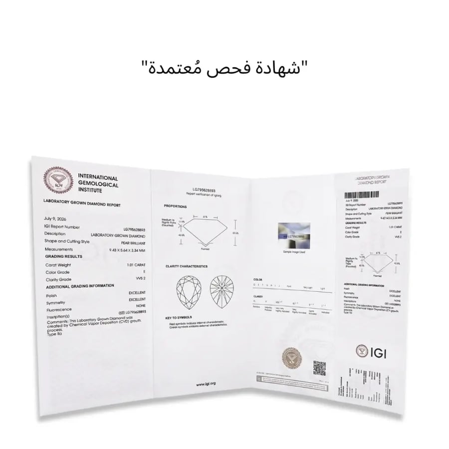 حلق رقم 17