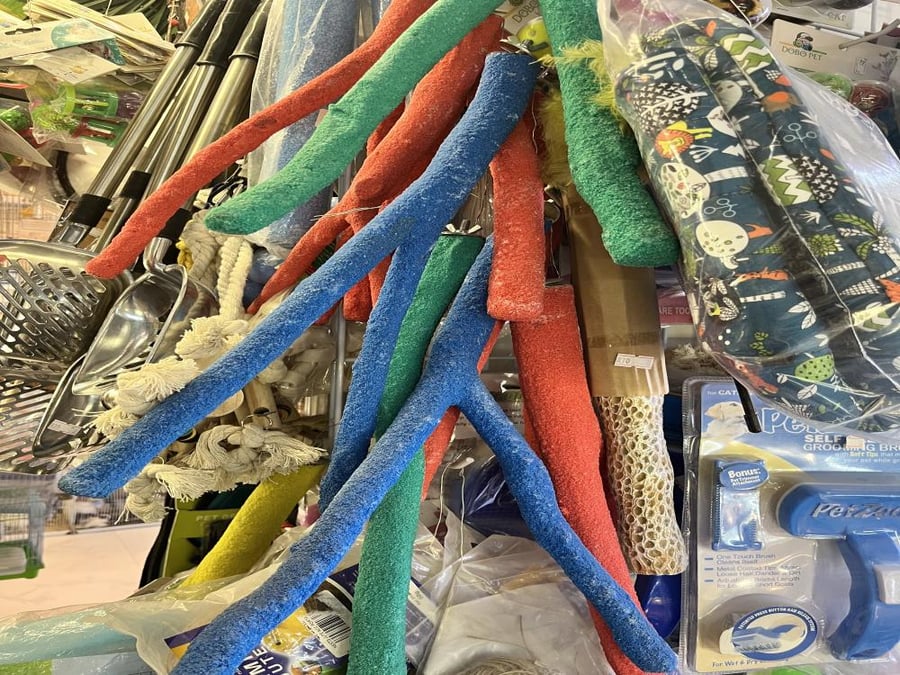 مجثم طيور كبيره