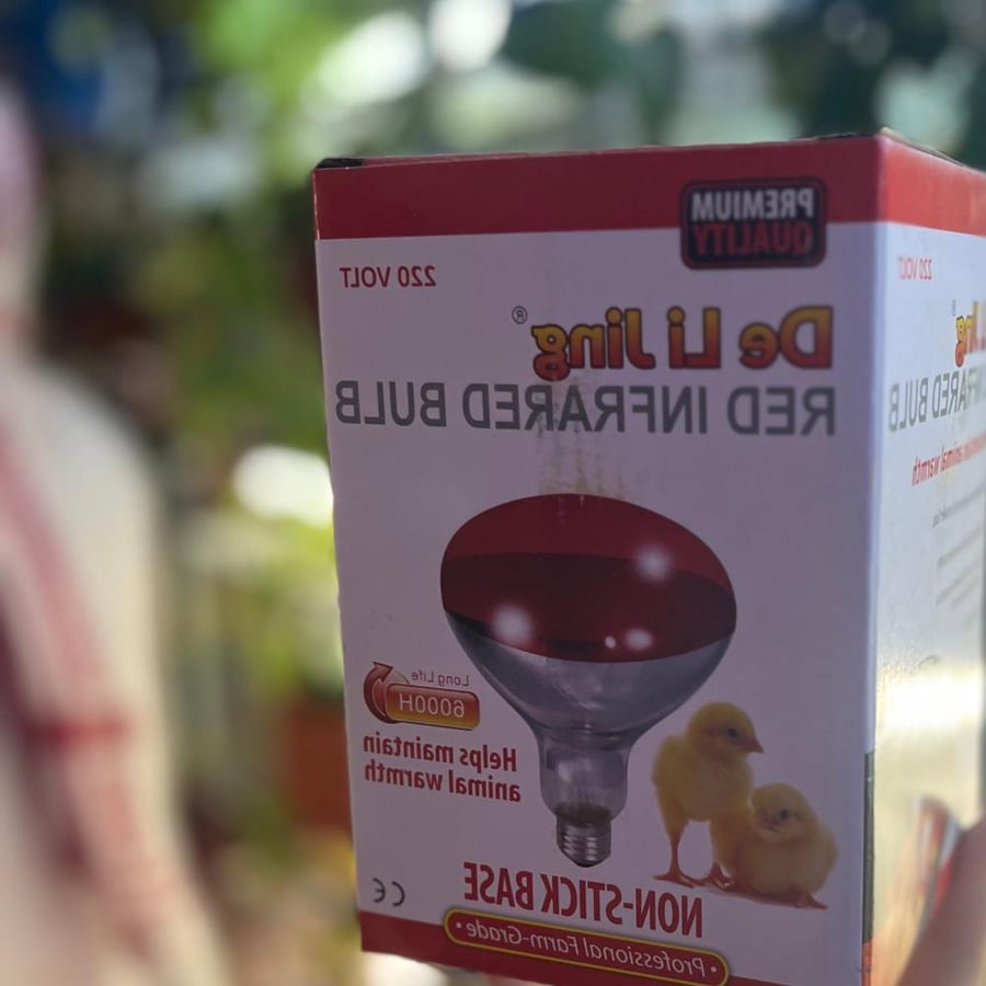 إضاءة لتدفئة الفروخ و الطيور