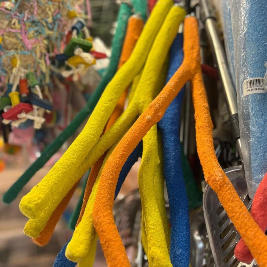 مجثم طيور كبيره