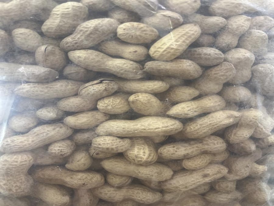 سوبال مناسب للببغاوات الكبيرة