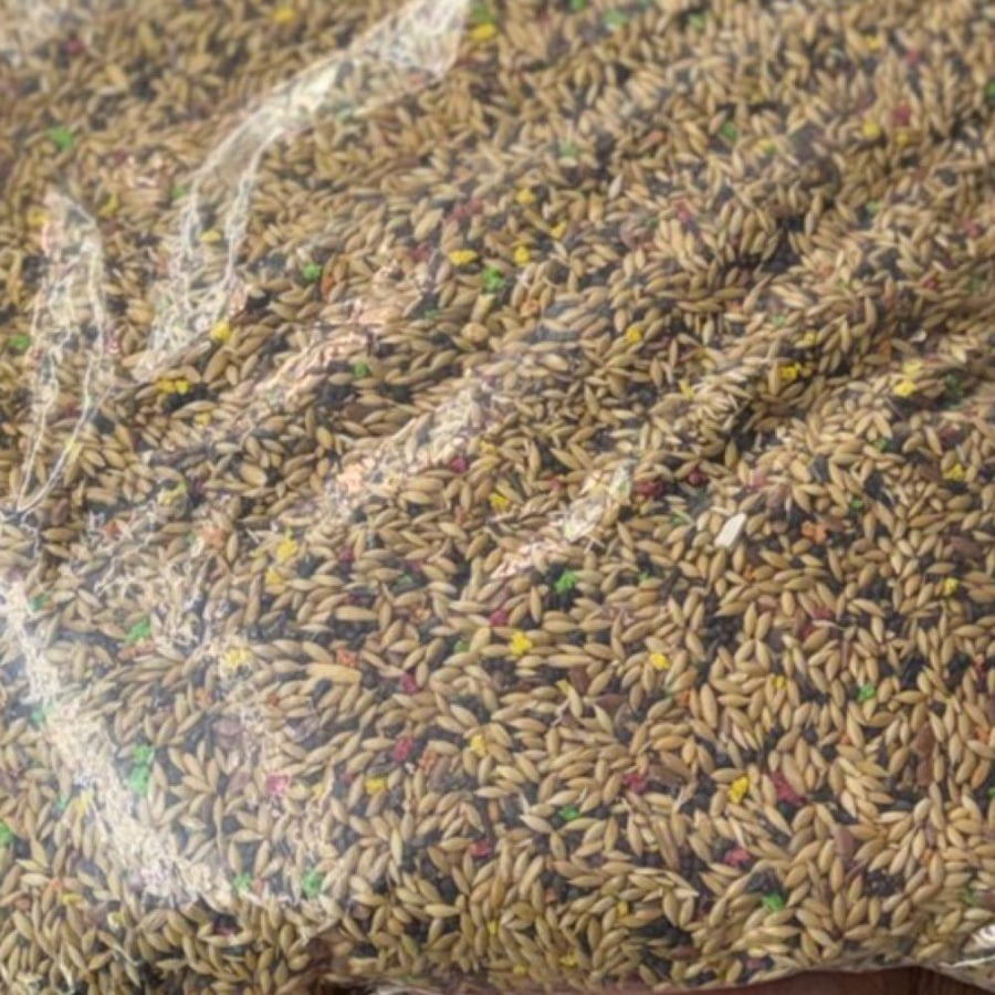 حبوب طيور الكناري بلجيكي ١ك
