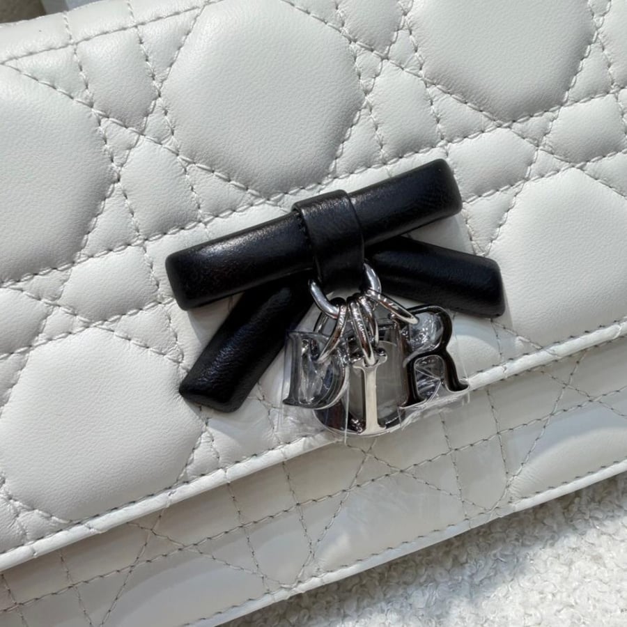 ماي ديور My Dior Mini Bag موديل الفيونكه
