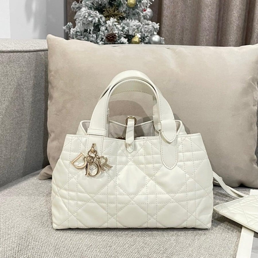 Small Dior Toujours Bag صغير
