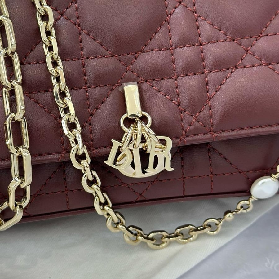 Dior Talk Phone Pouch
