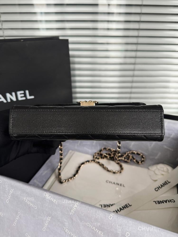 Chanel 23P شانيل