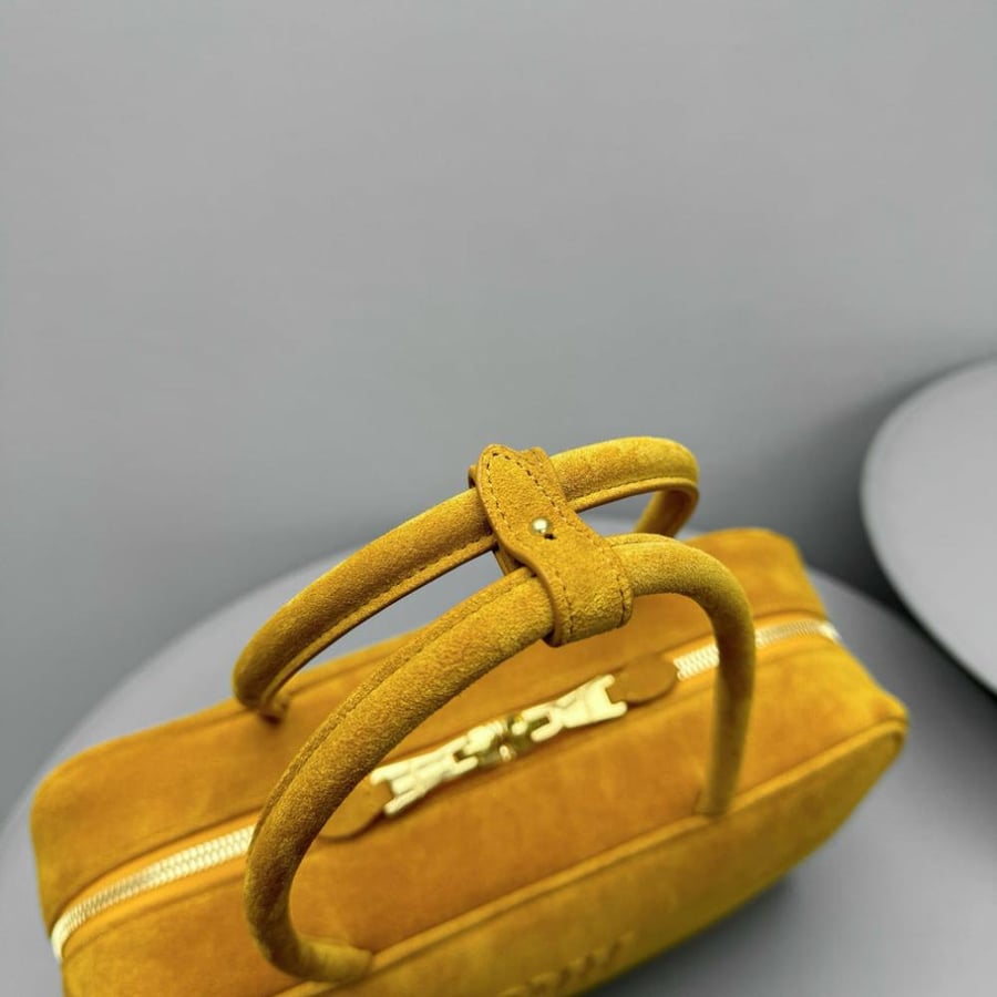 Miu Miu Beau bag