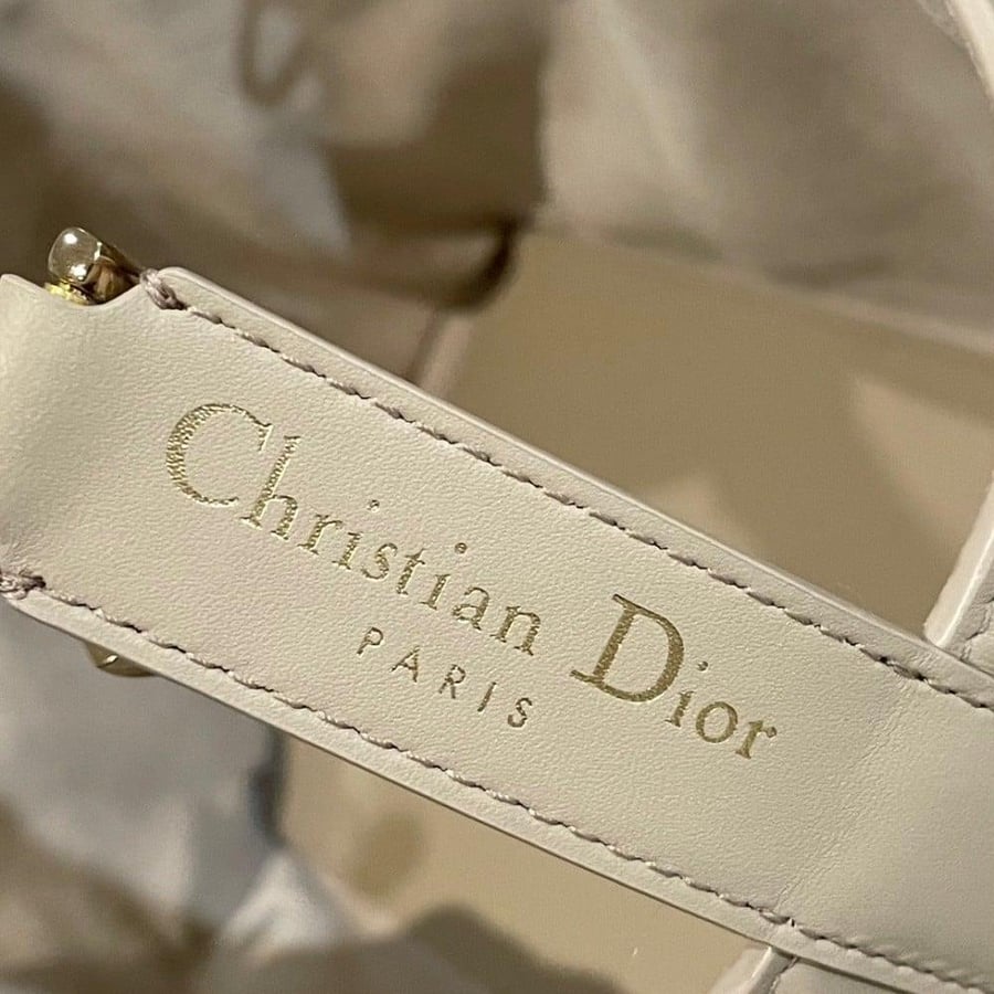 Small Dior Toujours Bag صغير