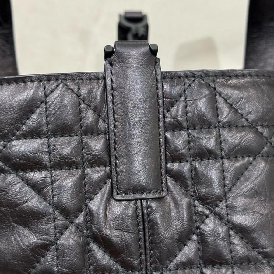 Small Dior Toujours Bag صغير