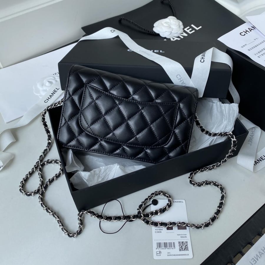 Chanel wallet on chain lamp skin size 19.2cm
