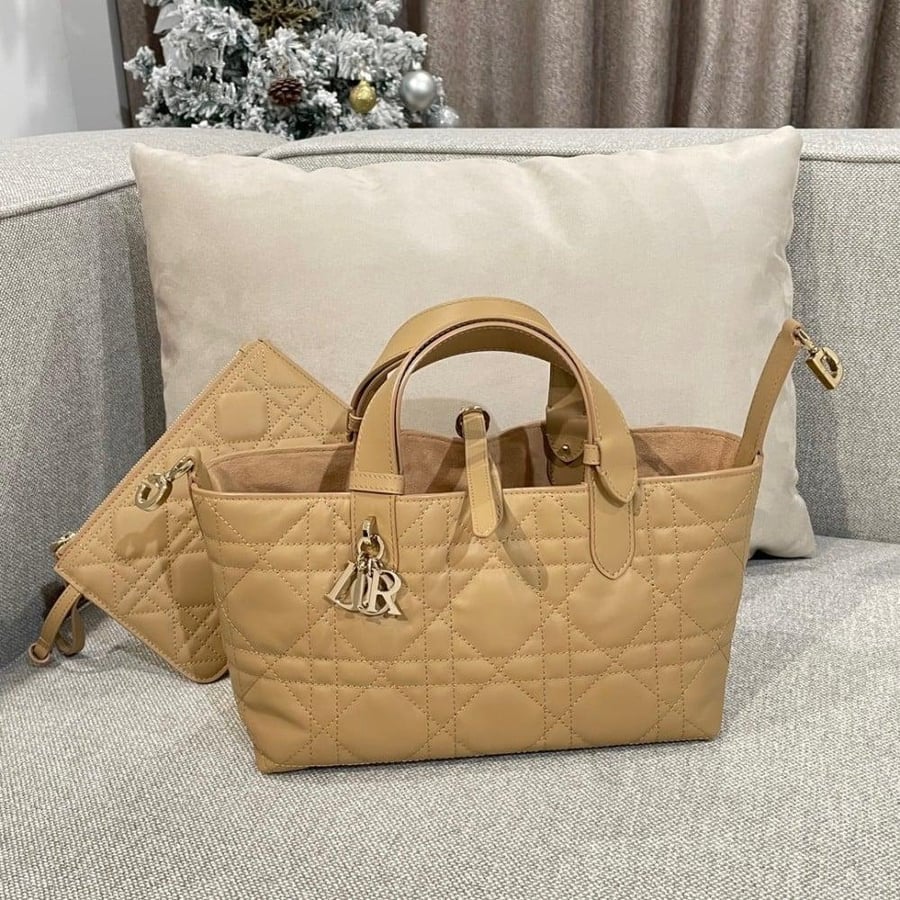 Small Dior Toujours Bag صغير