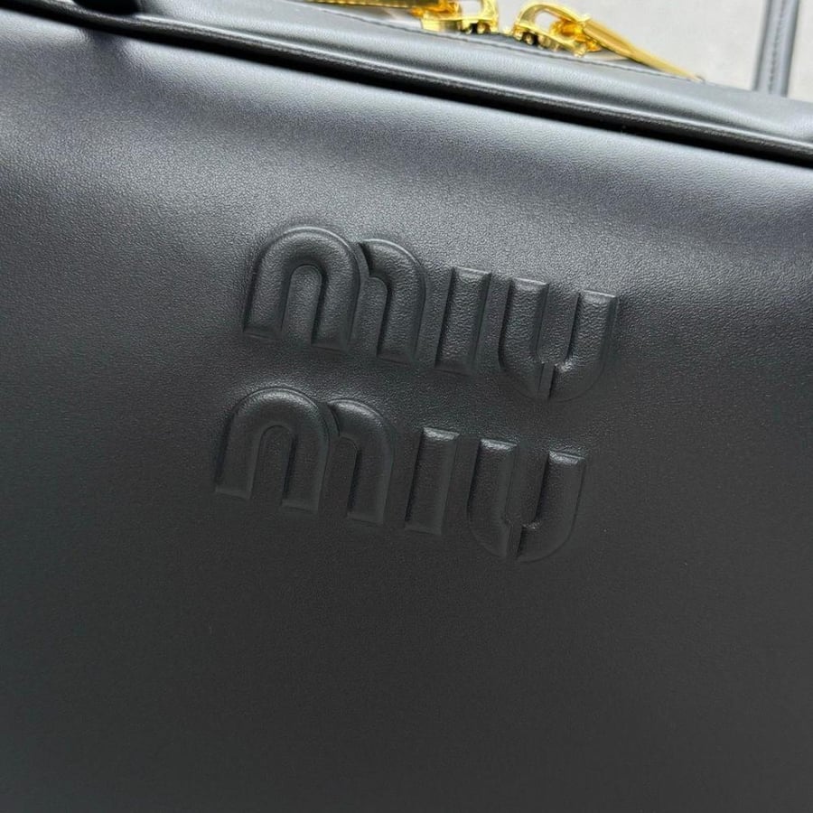 Miu Miu Beau bag
