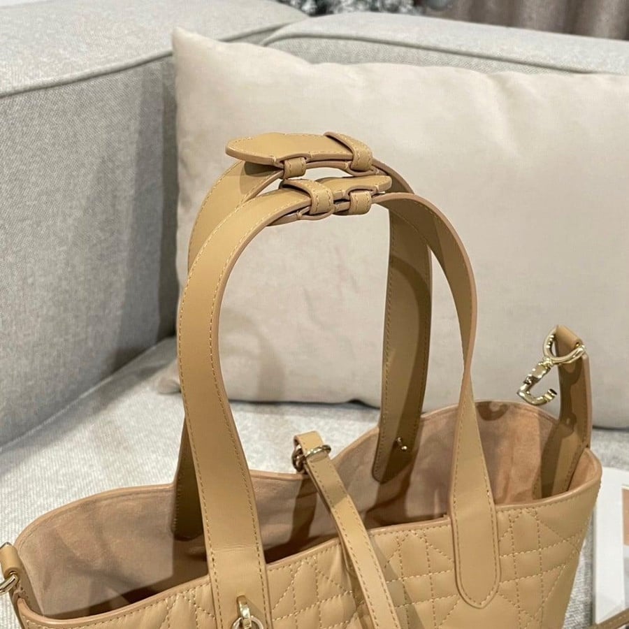 Small Dior Toujours Bag صغير
