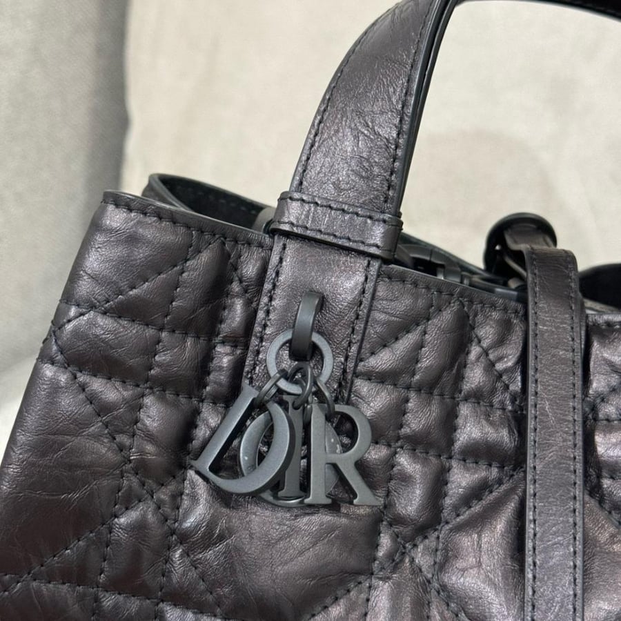 Small Dior Toujours Bag صغير