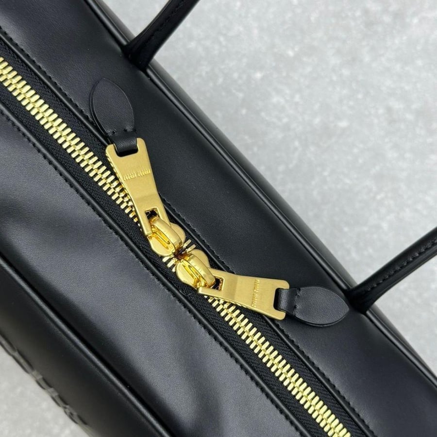 Miu Miu Beau bag