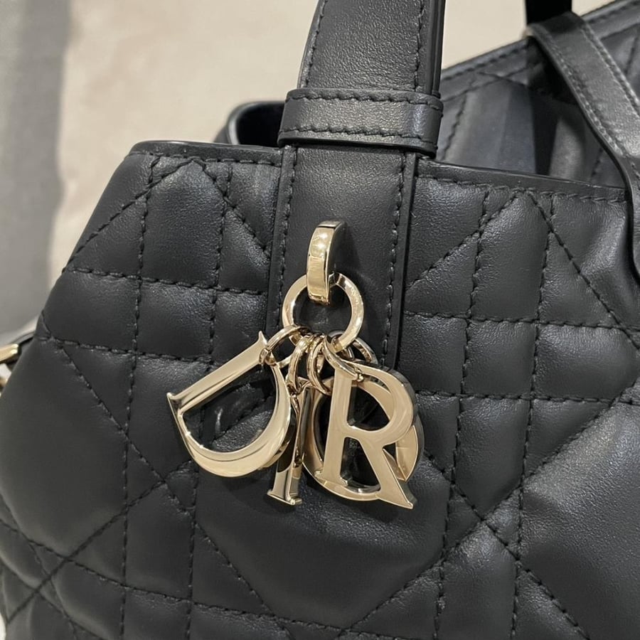 Small Dior Toujours Bag صغير