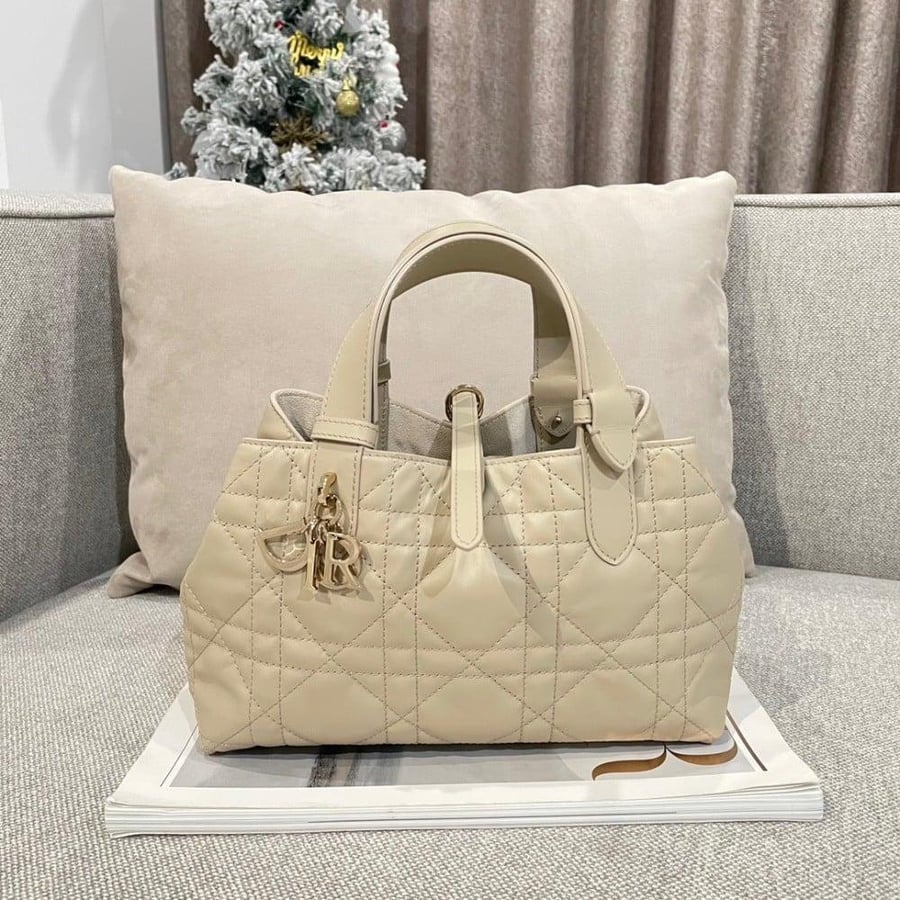 Small Dior Toujours Bag صغير
