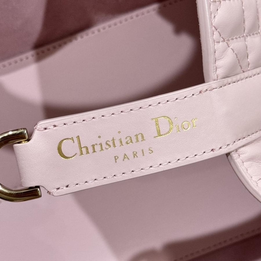 Small Dior Toujours Bag صغير