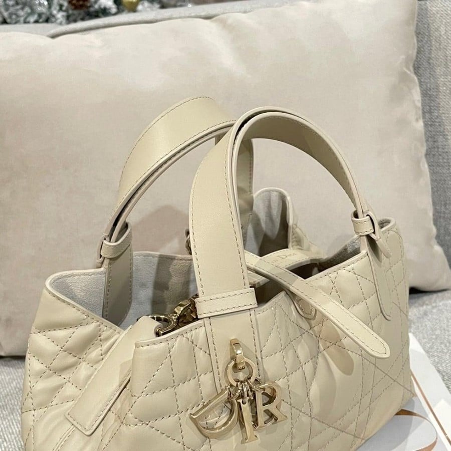 Small Dior Toujours Bag صغير