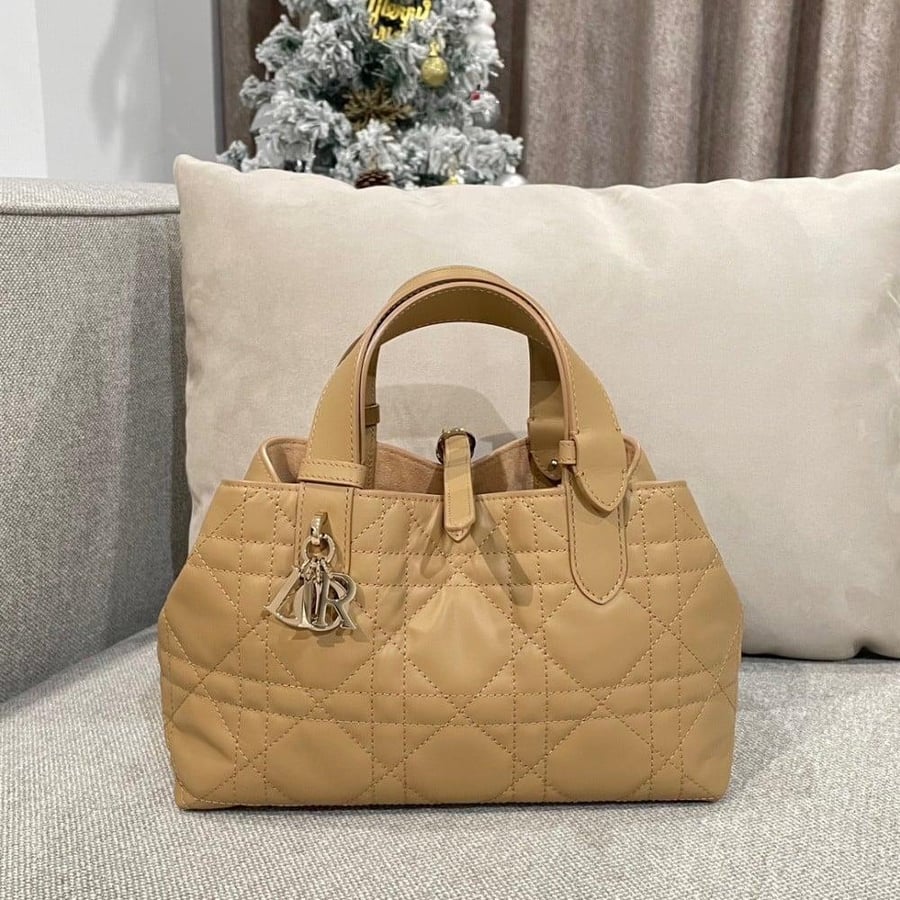 Small Dior Toujours Bag صغير