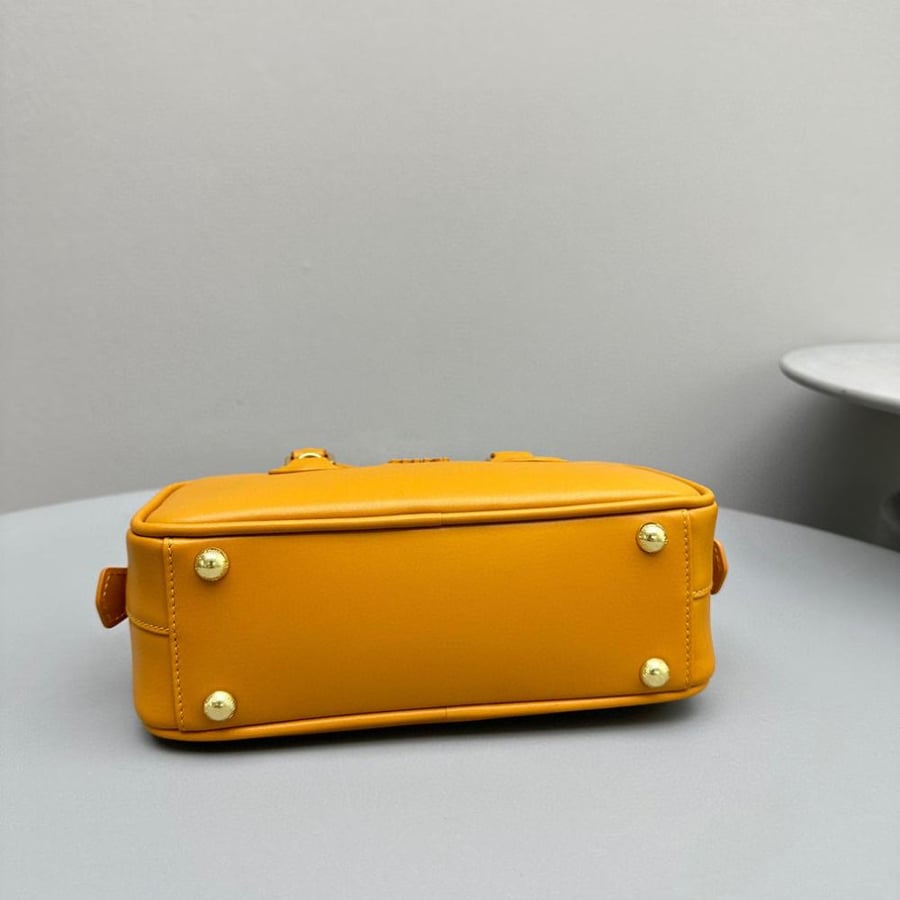 Miu Miu Arcadie leather regular bag