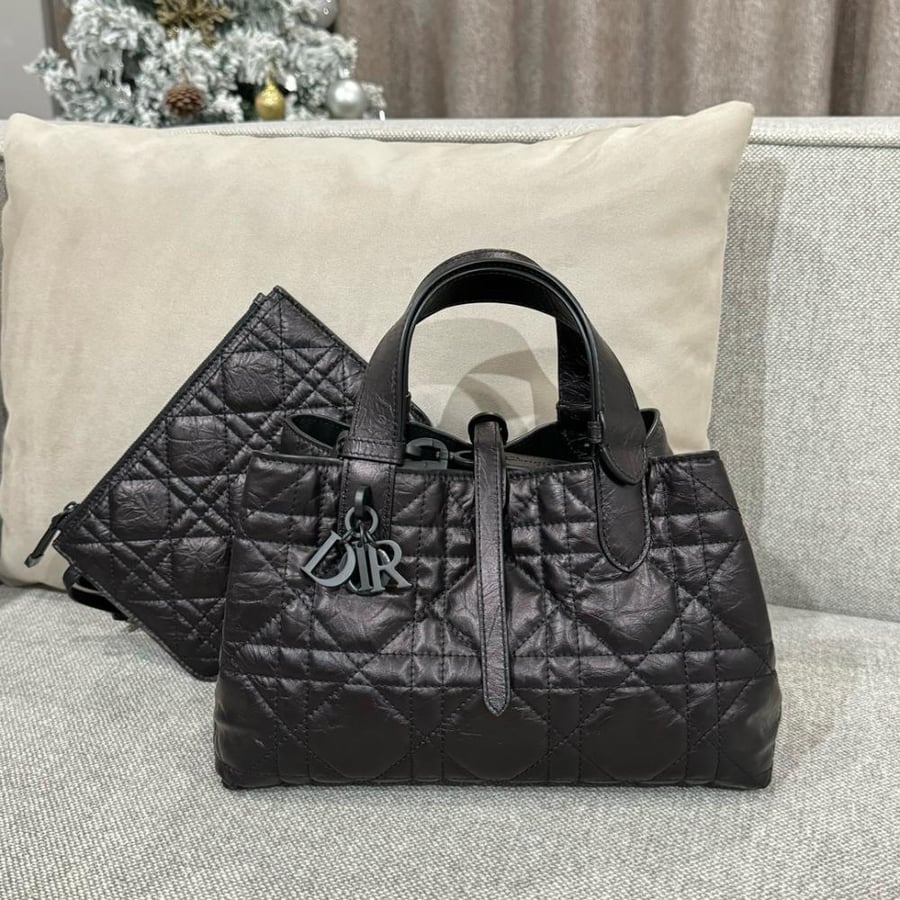 Small Dior Toujours Bag صغير