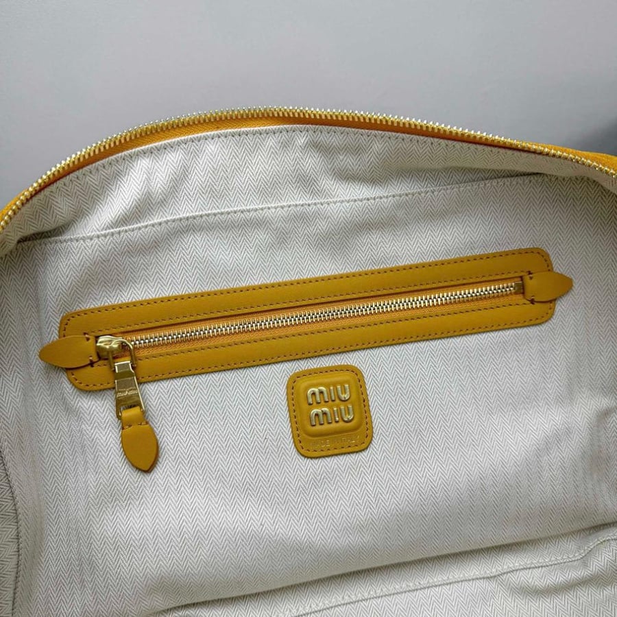 Miu Miu Beau bag
