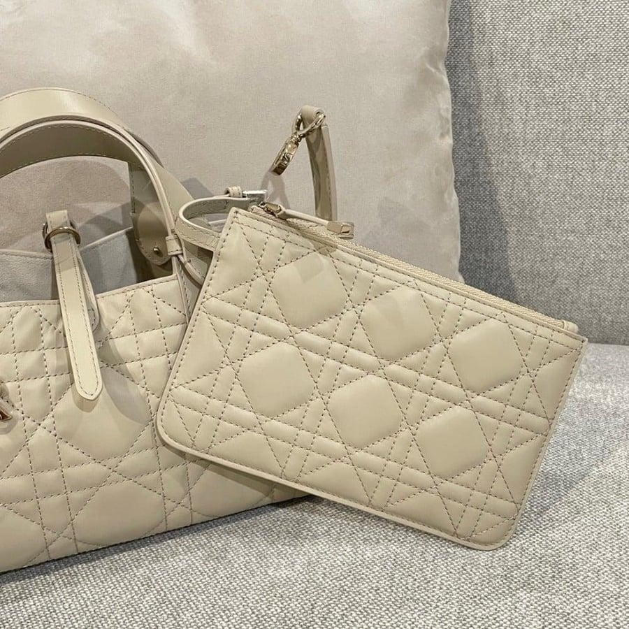 Small Dior Toujours Bag صغير