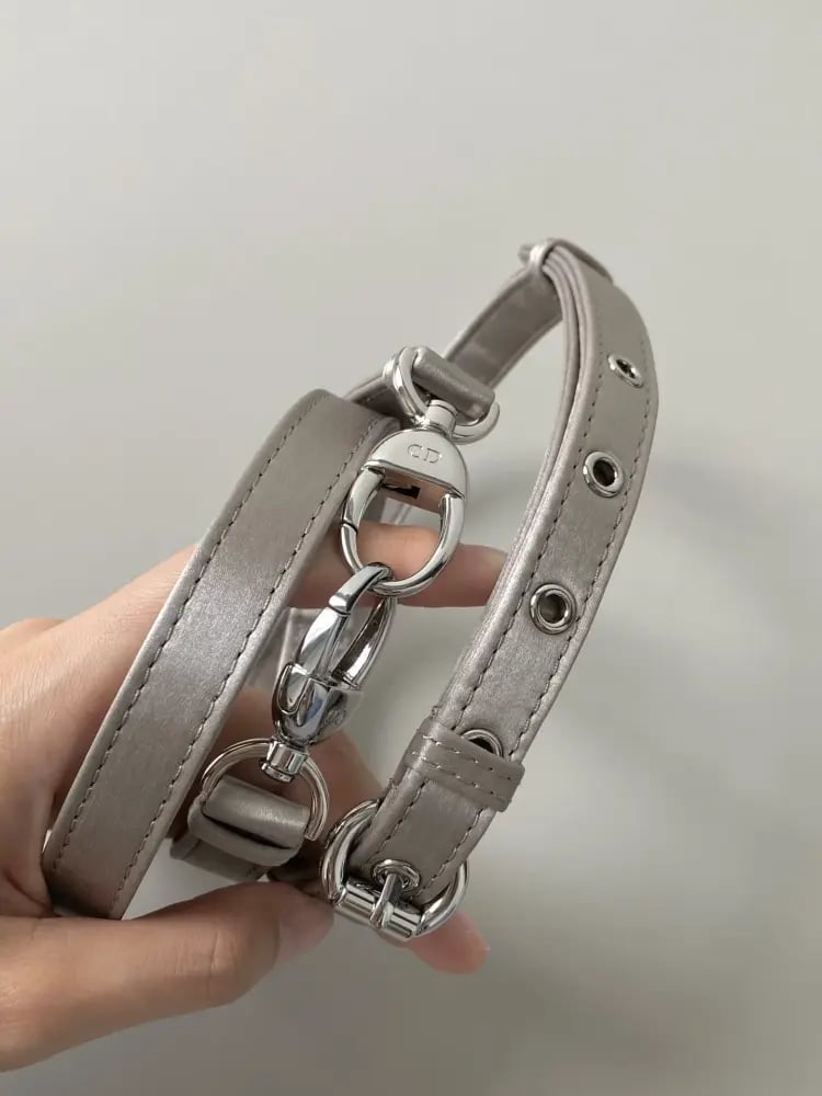 Mini Lady Dior Bag مقاس ميني (كريستال)