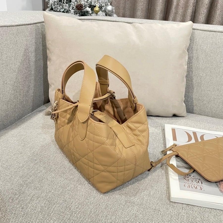 Small Dior Toujours Bag صغير