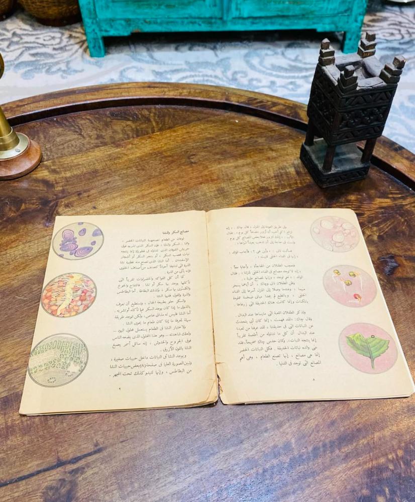من النوادر؛ كتيب مصانع النبات؛ طبع عام ١٩٦٤م (م)