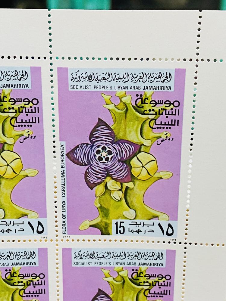 من النوادر؛ شيت ٢٠ طابع ليبي فئة ١٥ درهم إصدار عام ١٩٧٩م