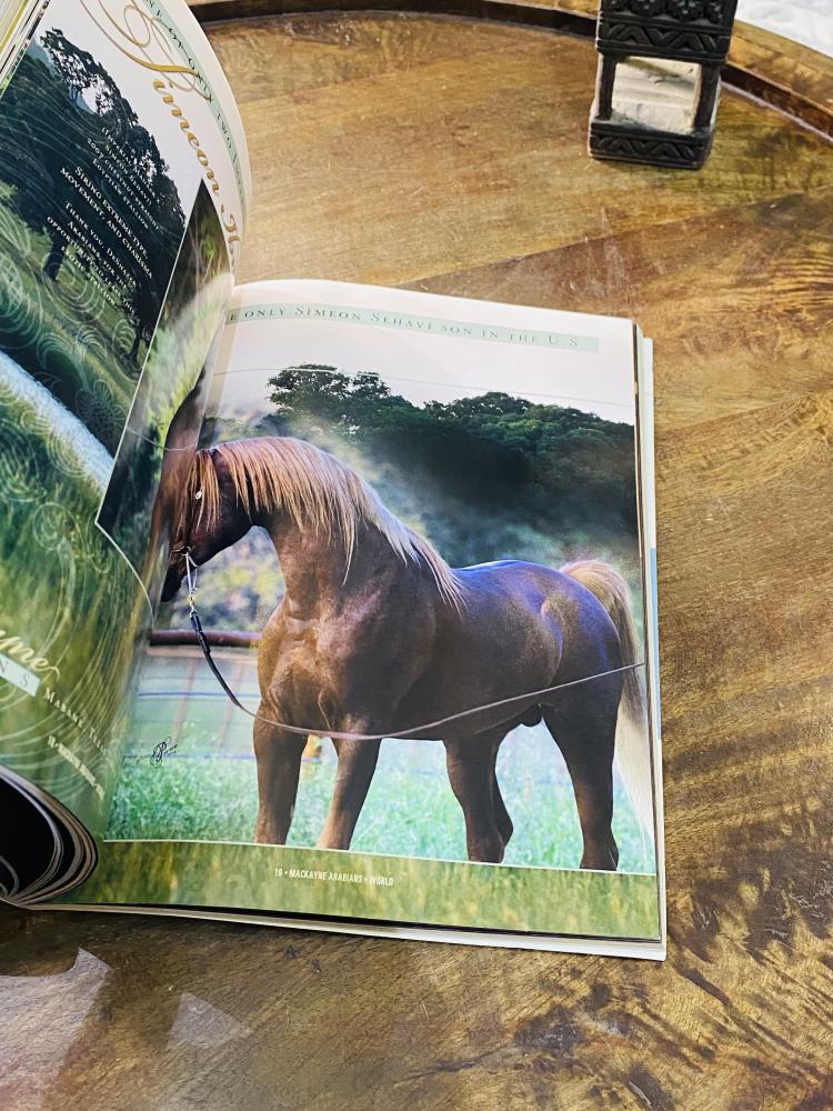 من البنود المميزة؛ كتاب بطباعة فاخرة بعنوان عالم الخيل العربية