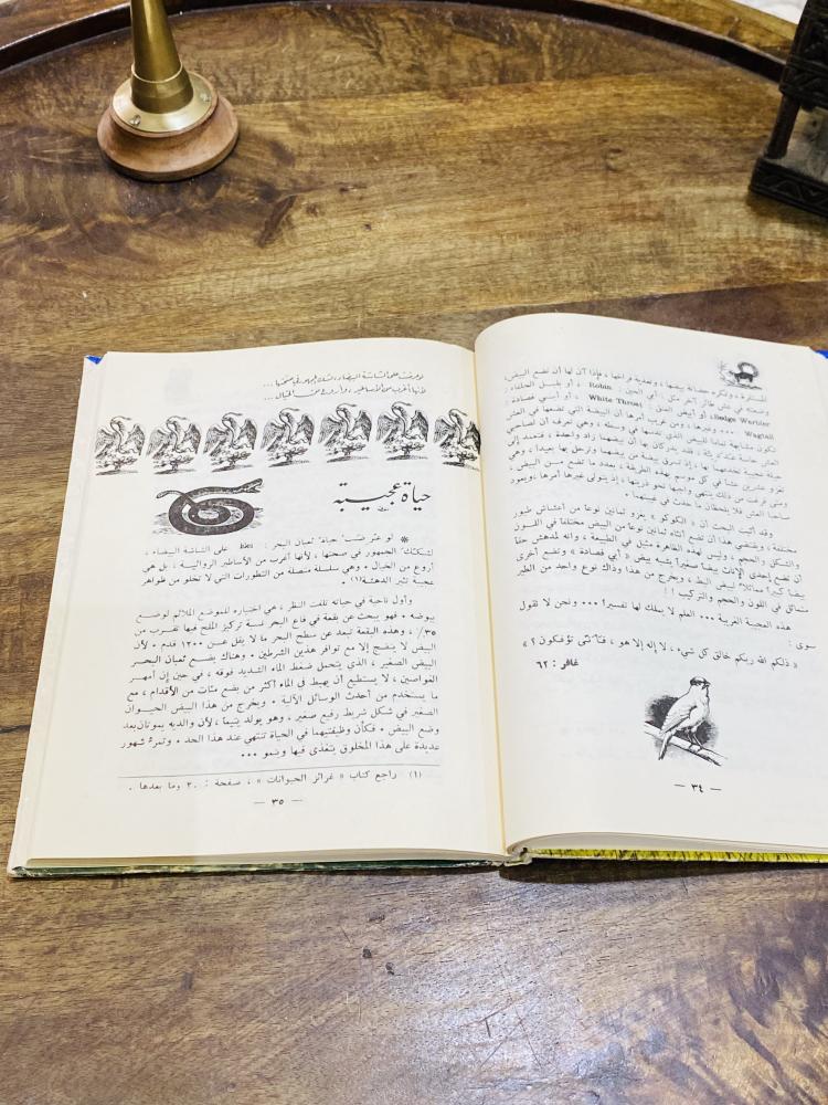 من النوادر؛  قصة للأطفال من مطبوعات وزارة المعارف؛ قديمة بغلاف كرتوني متين بعنوان (غريزة.. أم تقدير الٓـهي) عام  ١٣٩٨هـ - ١٩٧٨م