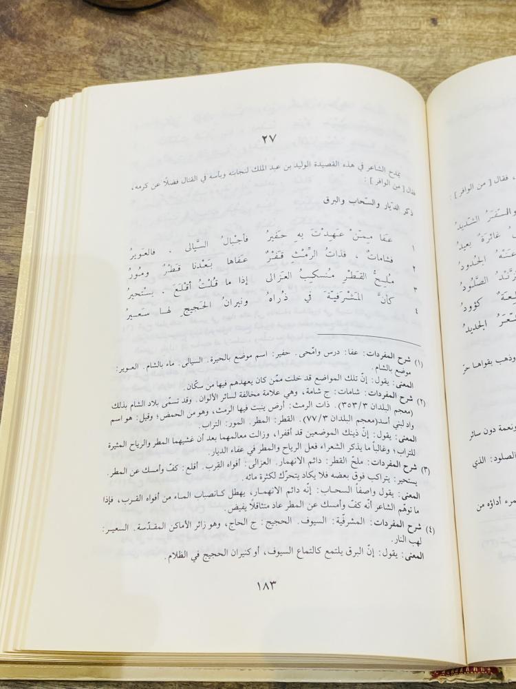 من البنود المميزة؛ ديوان الشاعر الأخطل الطبعة الأولى عام ١٤١٣هـ ١٩٩٢م