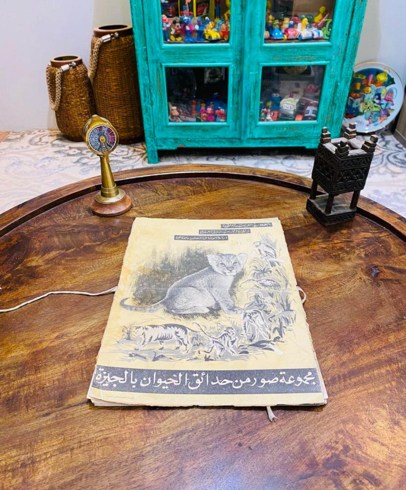 من النوادر؛ ١٤ صورة كبيرة الحجم على ورق مقوى لحديقة الحيوان بالجيزة عندما كانت مصر الجمهورية العربية المتحدة؛ قديمة جداً؛ يعتبر بند متحفي مميز