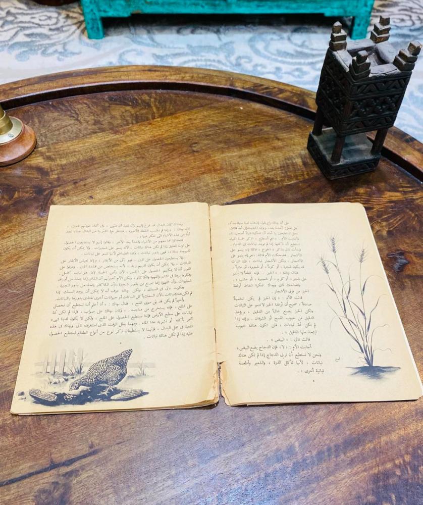 من النوادر؛ كتيب مصانع النبات؛ طبع عام ١٩٦٤م (م)