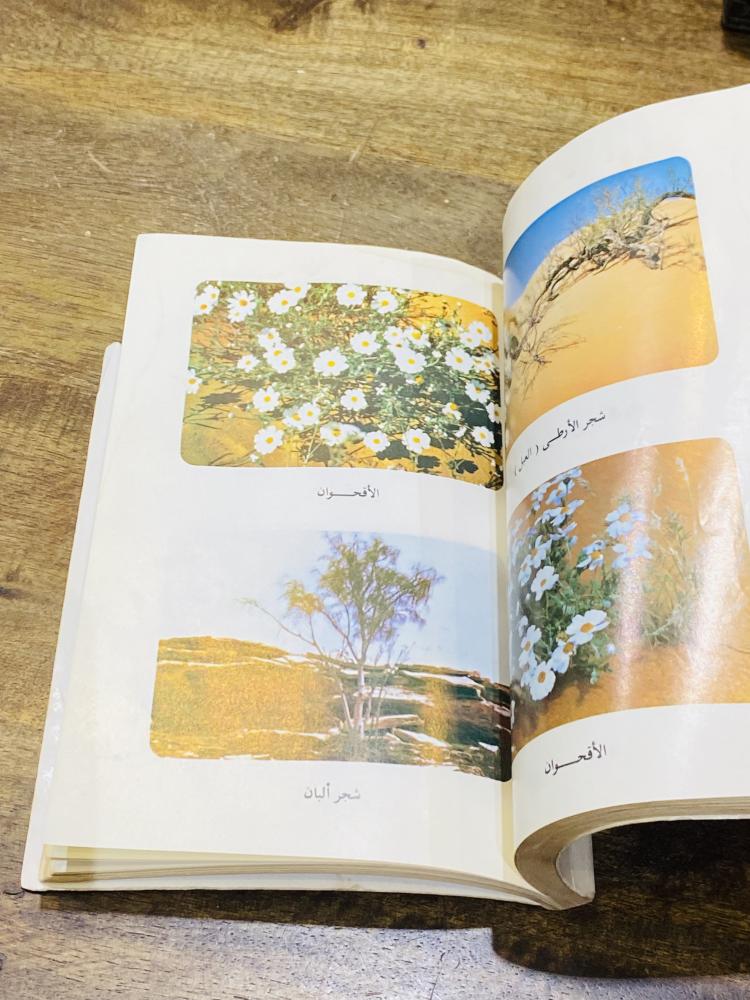 من النوادر؛ كتاب بعنوان صبا نجد (نجد في الشعر العربي) الطبعة الأولى عام ١٤٠٤هـ مليئ بالصور الجميلة