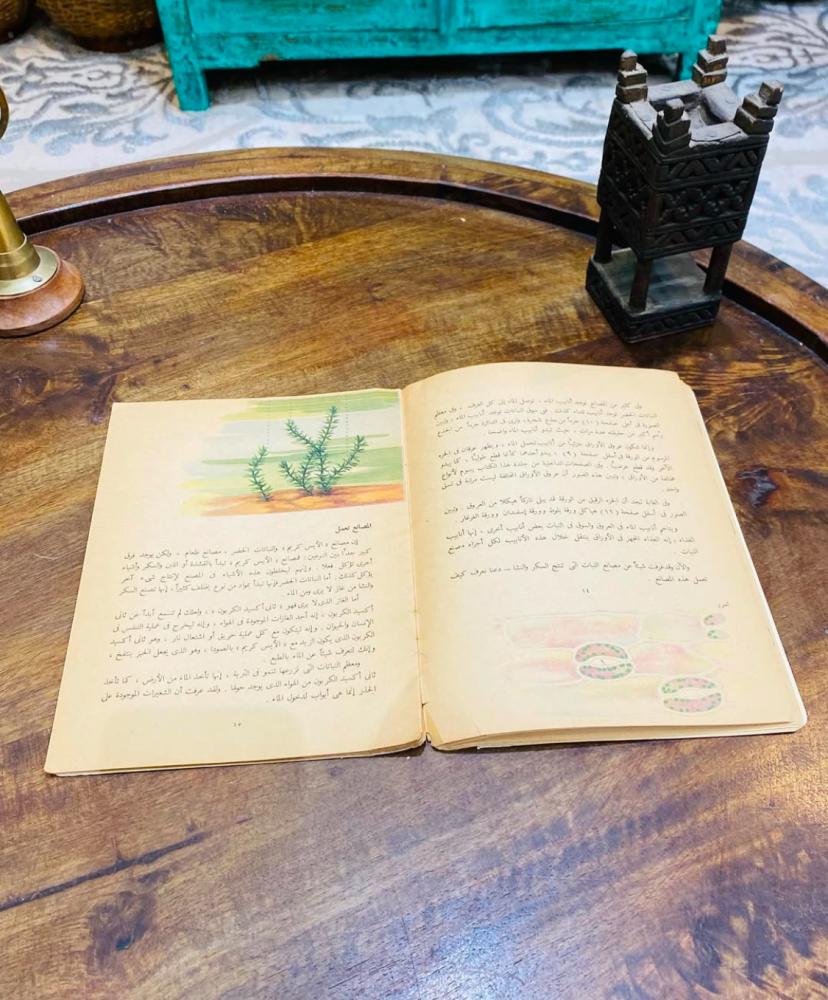 من النوادر؛ كتيب مصانع النبات؛ طبع عام ١٩٦٤م (م)