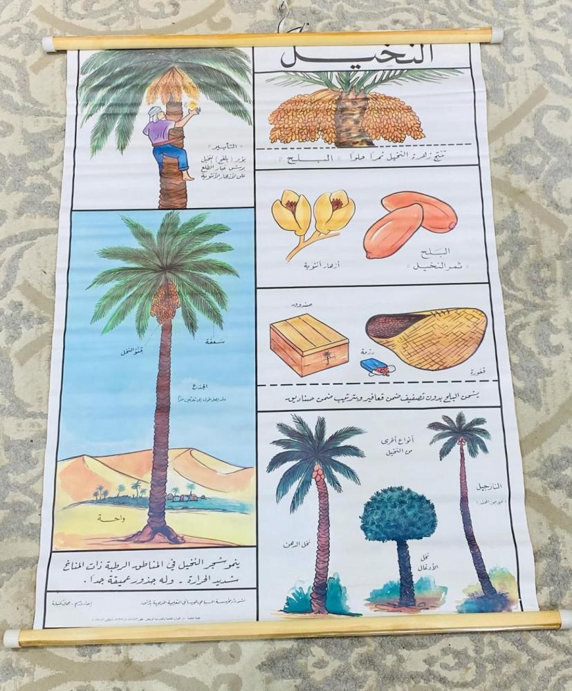 من البنود المميزة؛ لوحات تعليمية جدارية بأشكال مختلفة كانت تستخدم في المدارس فترة الثمانينات الميلادية بطول ٩٥سم في ٧٥سم تقريباً مخزنة تخزين ممتاز بتغليف المصنع لم تستخدم (مكملة لركن التعليم في المتحف)؛ السعر للتعليقة الواحدة