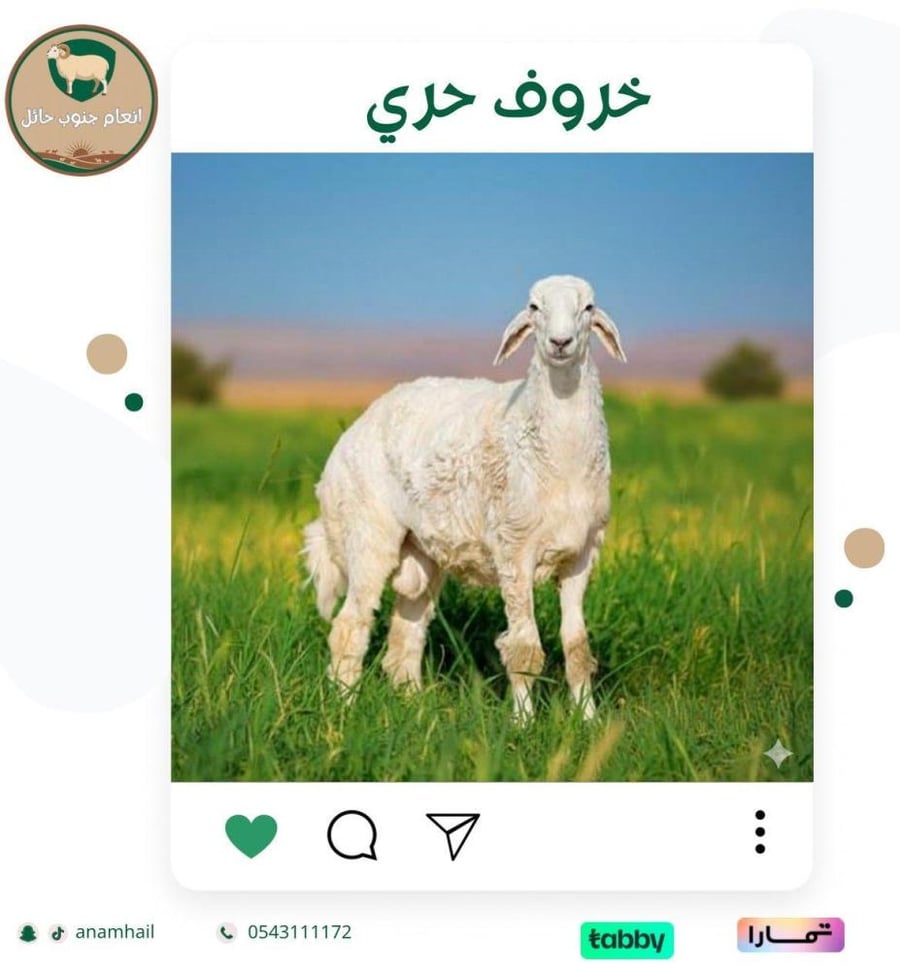 حري 6 شهور