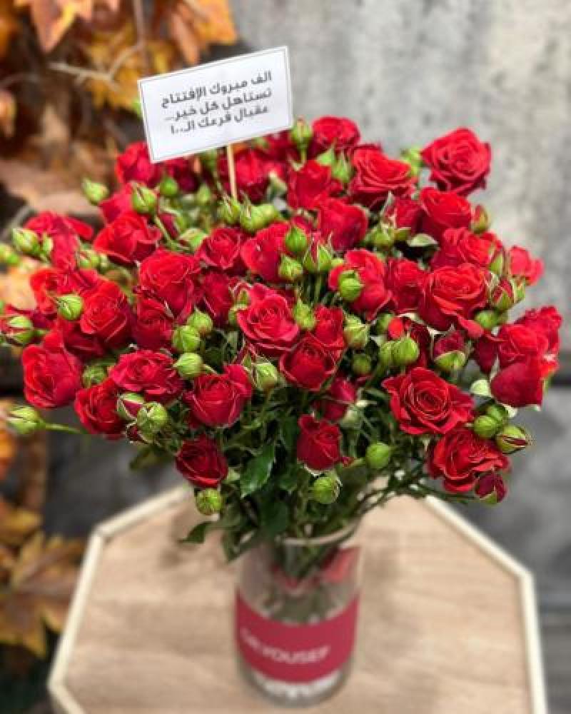 Red flower vase