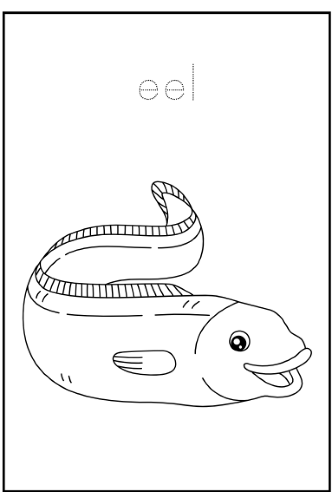 كتيب تلوين وتتبع أسماء حيوانات البحر – للأطفال PDF جاهز للطباعة