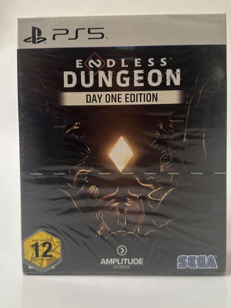 Endless Dungeon Sealed
