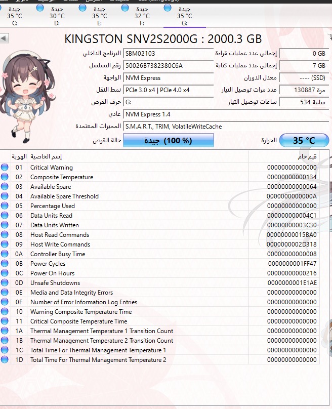 هارد ديسك Kingston NV2 2TB M.2 PCIe 4.0 NVMe (بحالة كالجديد)
