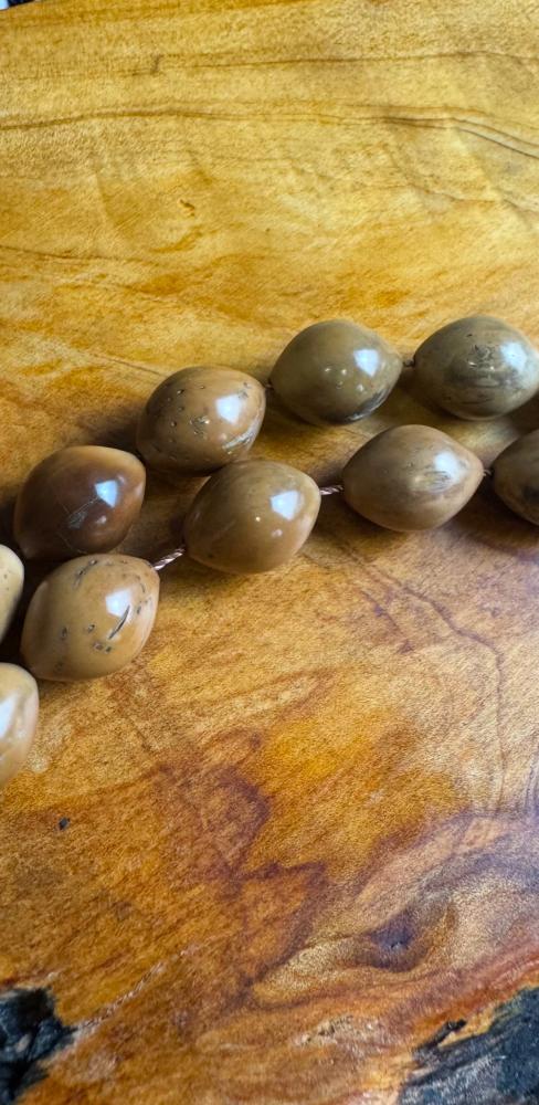 مسباح كوك مع عظم جمل