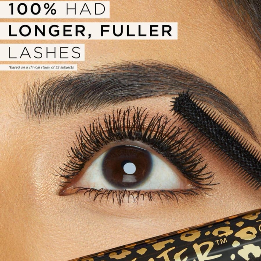 تارت ~ ماسكارا فولوبتيوس من مانيتر ~ بني