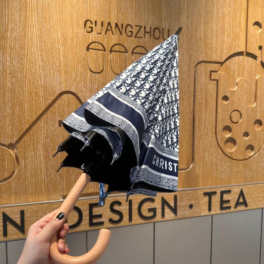 Dior umbrella blue